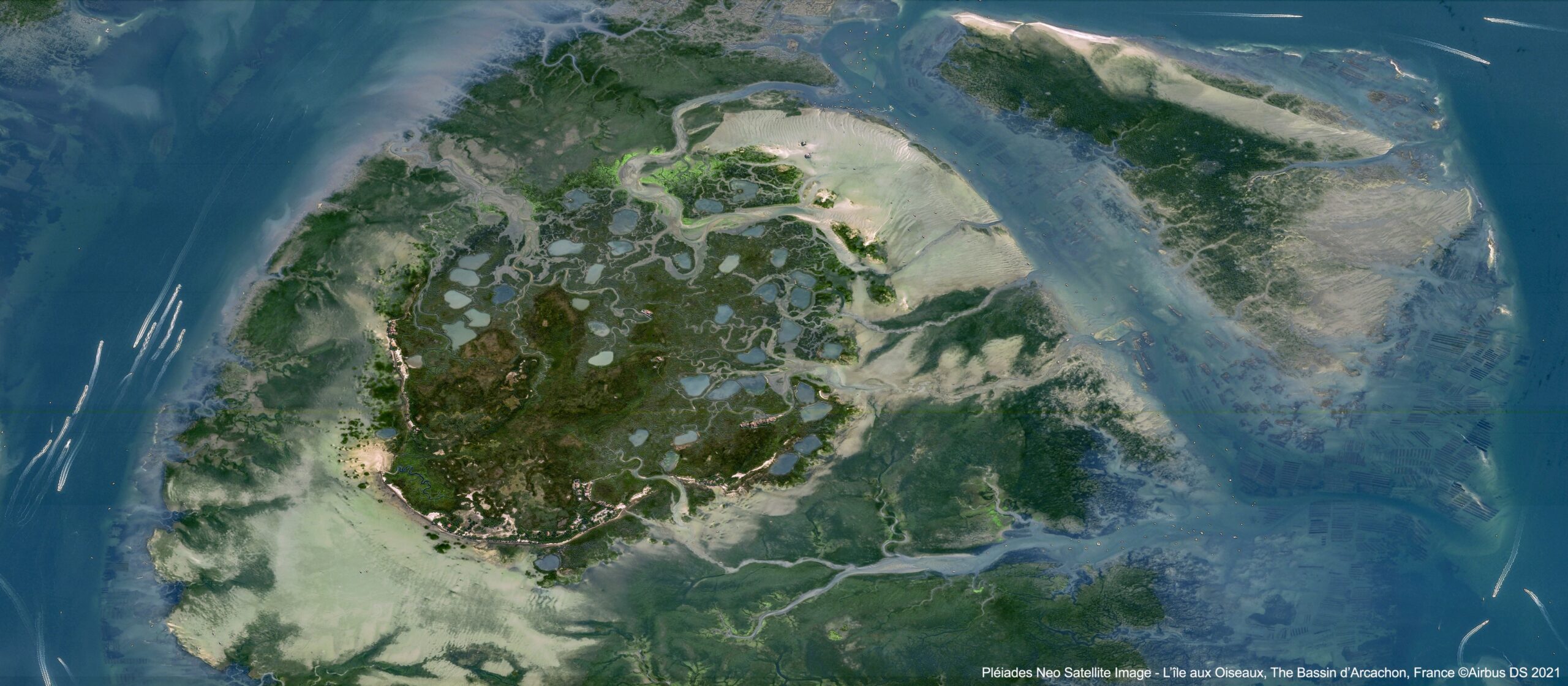 Pleiades Neo 4 Satellite Image L’île aux Oiseaux France