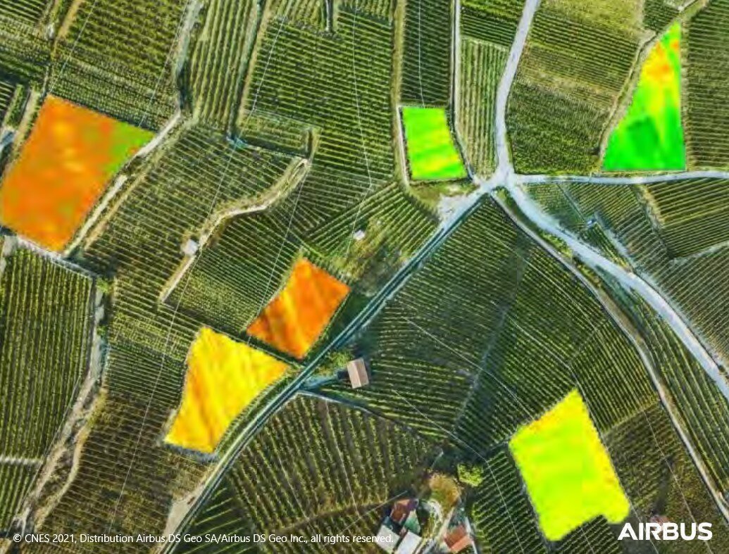 Satellite Maps and AI Agriculture Mapping